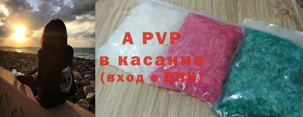 индика Абаза