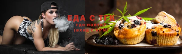 индика Абаза