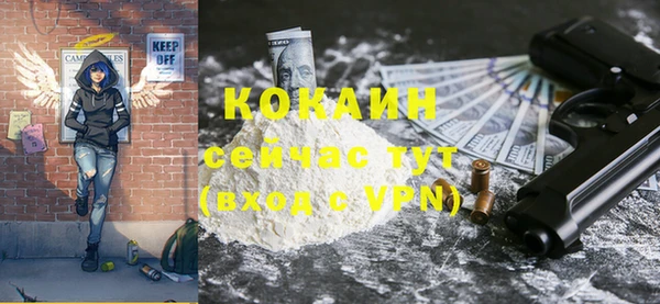 индика Абаза