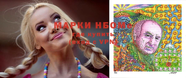 индика Абаза