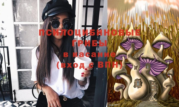 индика Абаза
